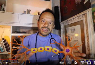 ¿Qué es el Sistema Nervioso? Su función principal y las enfermedades que sufre